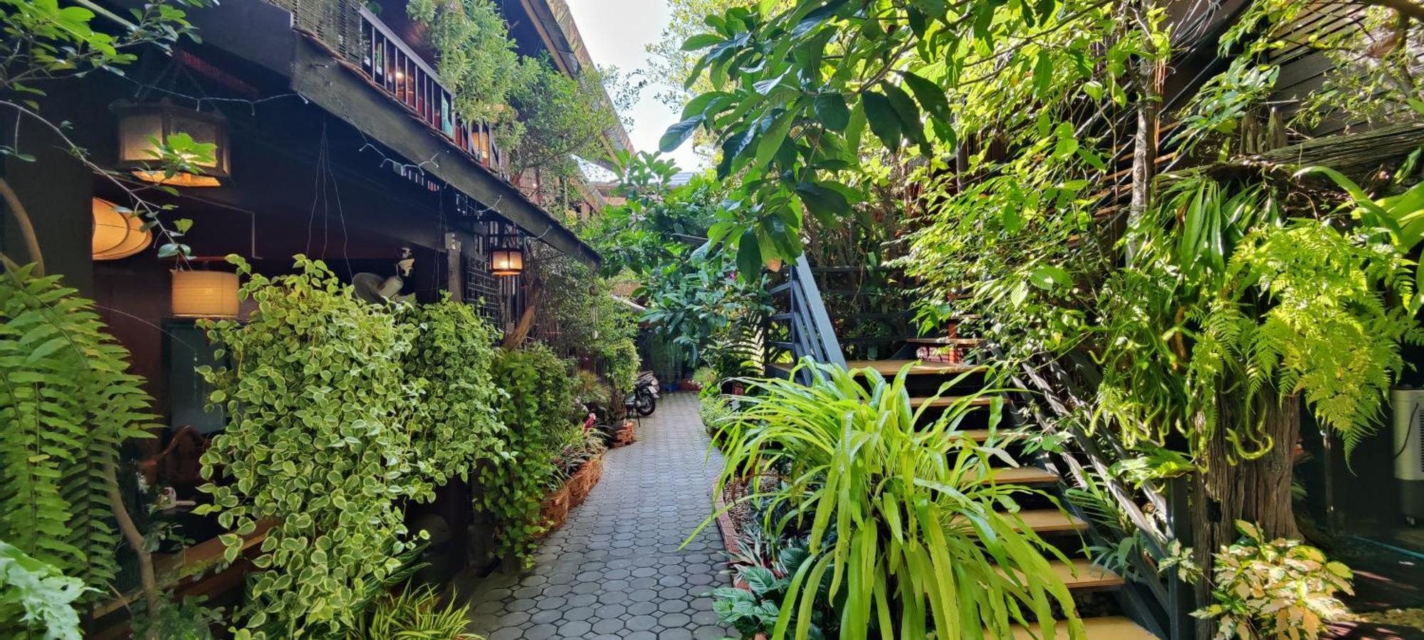 Hoh Guesthouse Chiang Mai Bagian luar foto